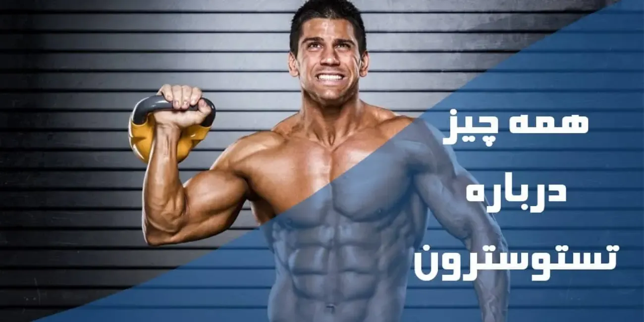 همه چیز درباره تستوسترون