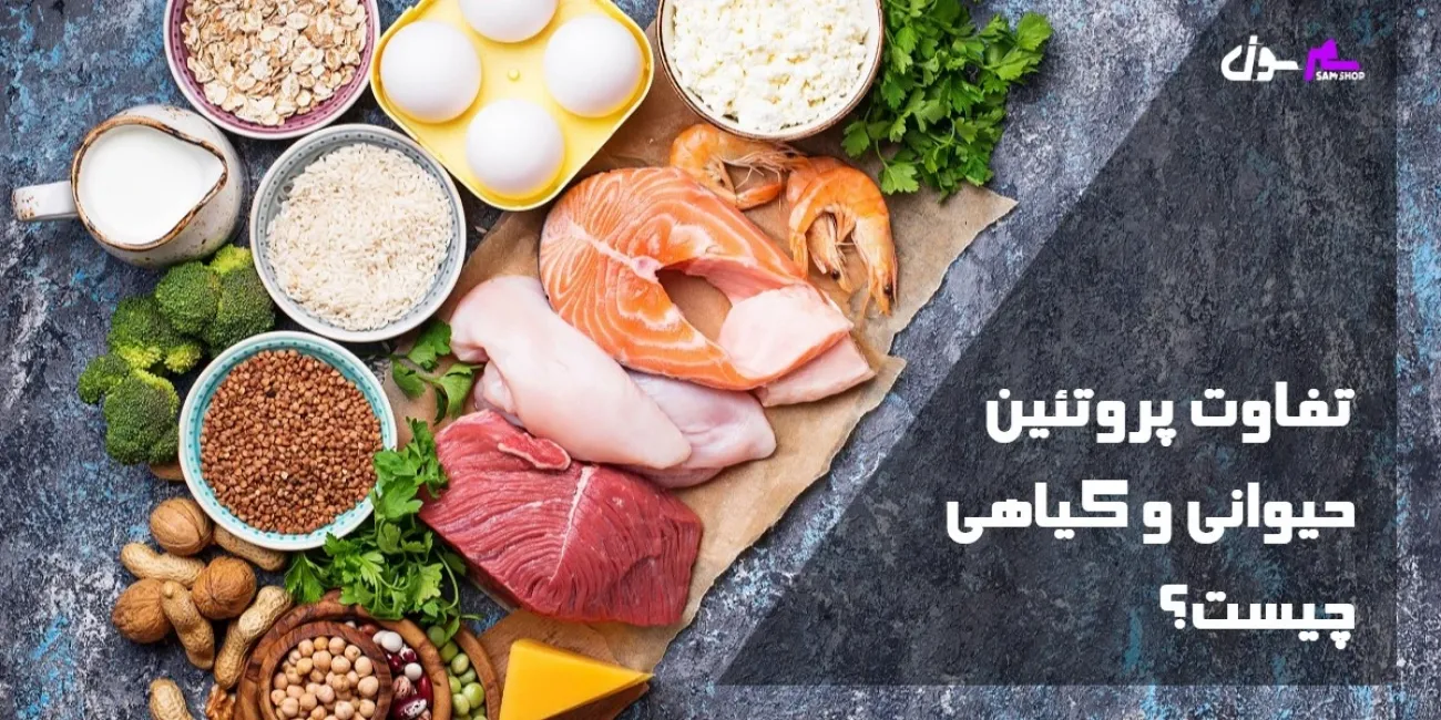 تفاوت پروتئین حیوانی و گیاهی چیست؟