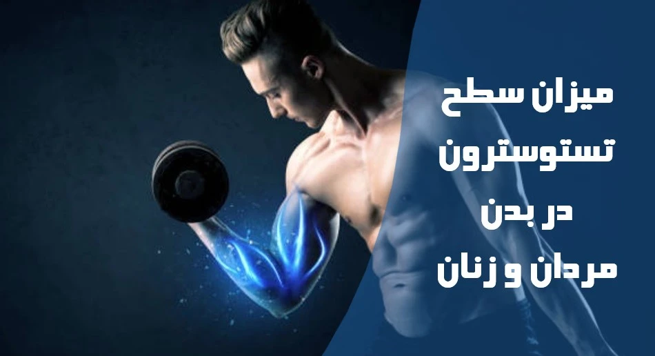 میزان سطح تستوسترون در بدن مردان و زنان