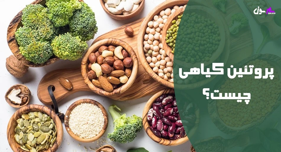 پروتئین گیاهی چیست؟