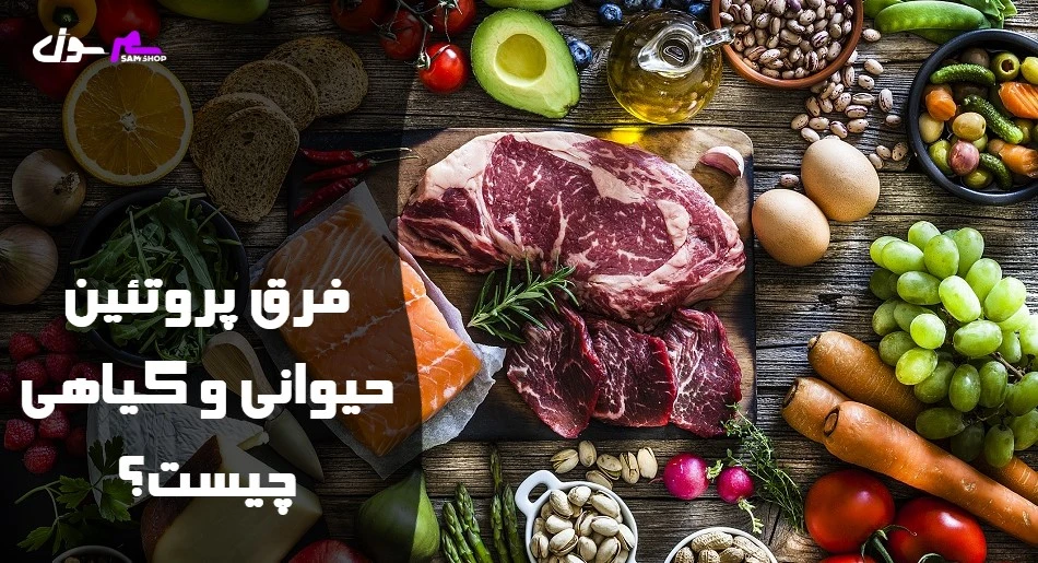 فرق پروتئین حیوانی و گیاهی چیست؟