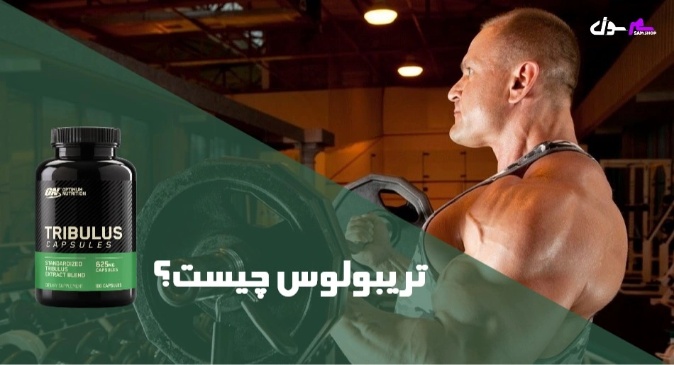 تریبولوس چیست؟